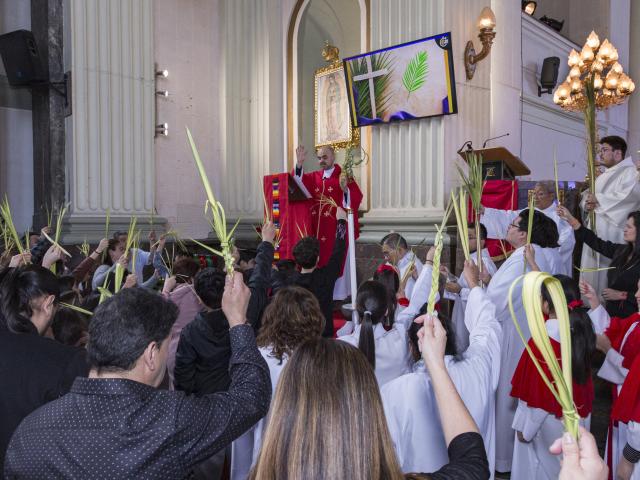 Domingo de Ramos