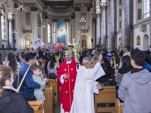 Domingo de Ramos 2