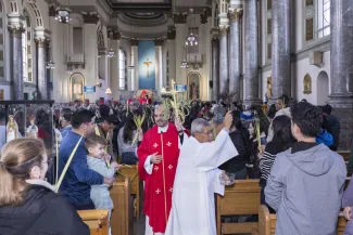 Domingo de Ramos 2
